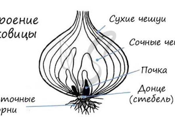 Mega сливы и ссылки